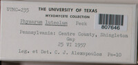 Image Associated With the Occurence